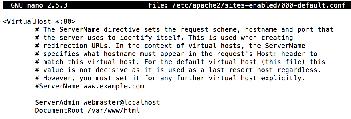 The Document Root Directive in an Apache configuration file