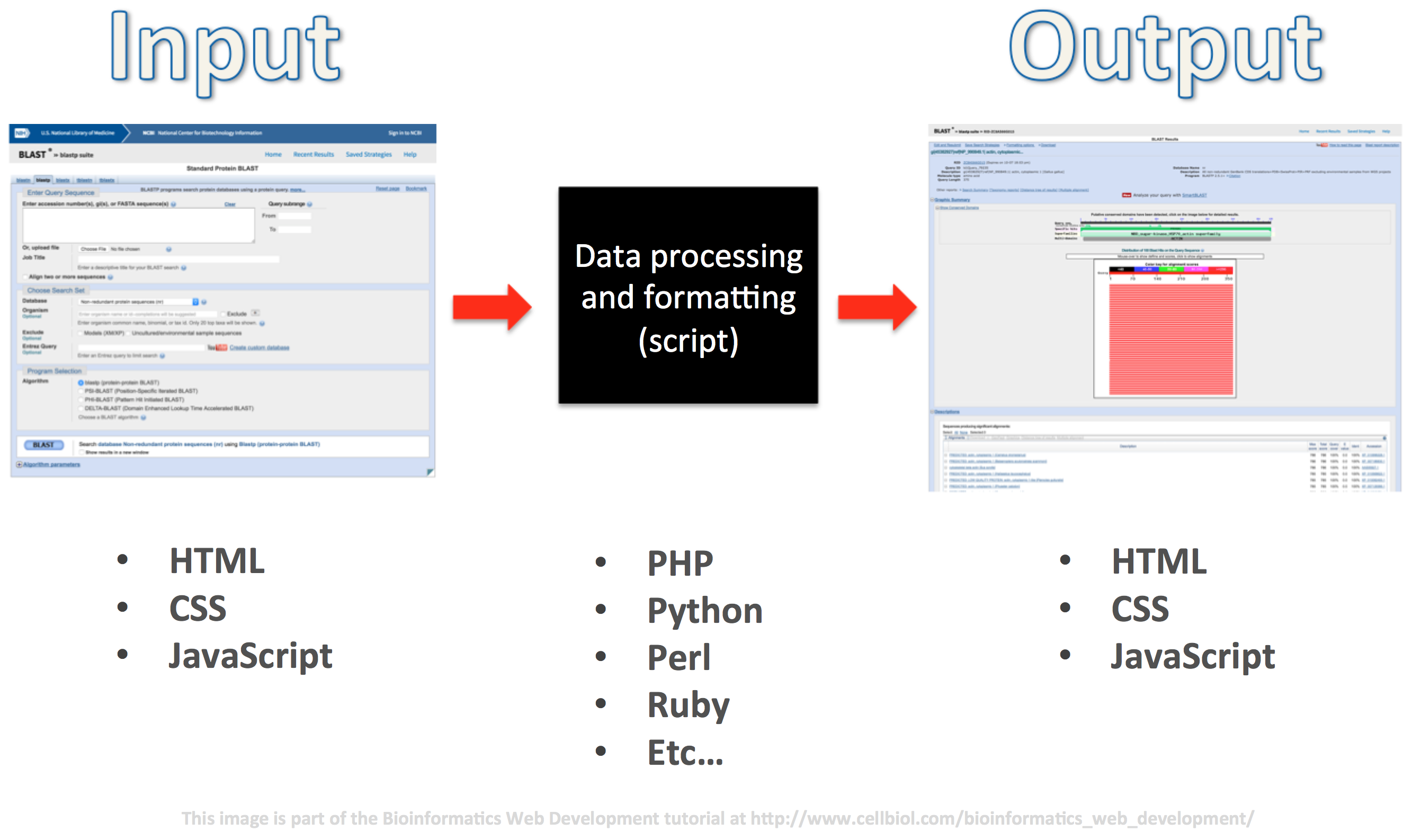 The NCBI BLAST web application