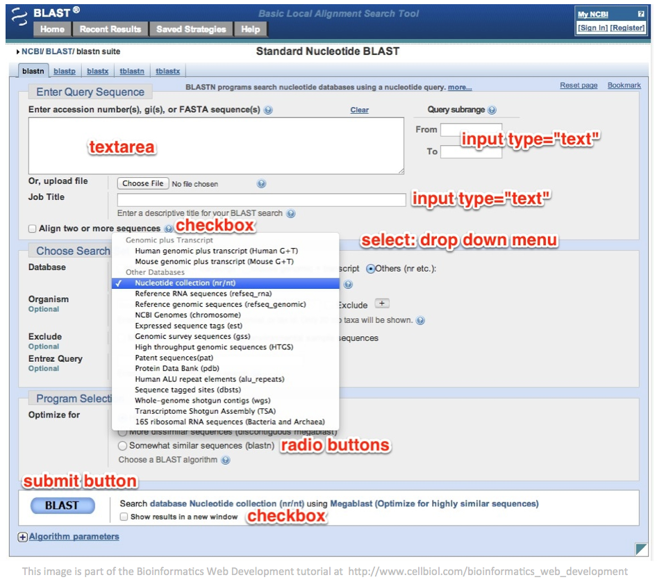 The NCBI BLAST web form