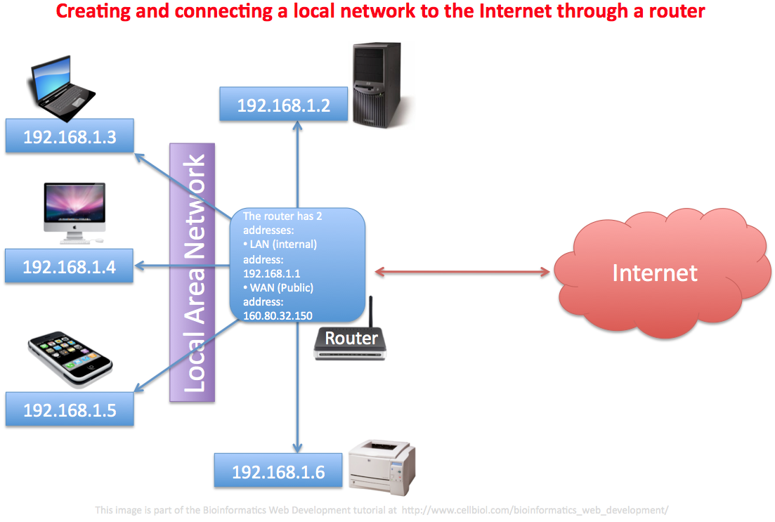 Local Area Network (Lan). Computer And Network Examples