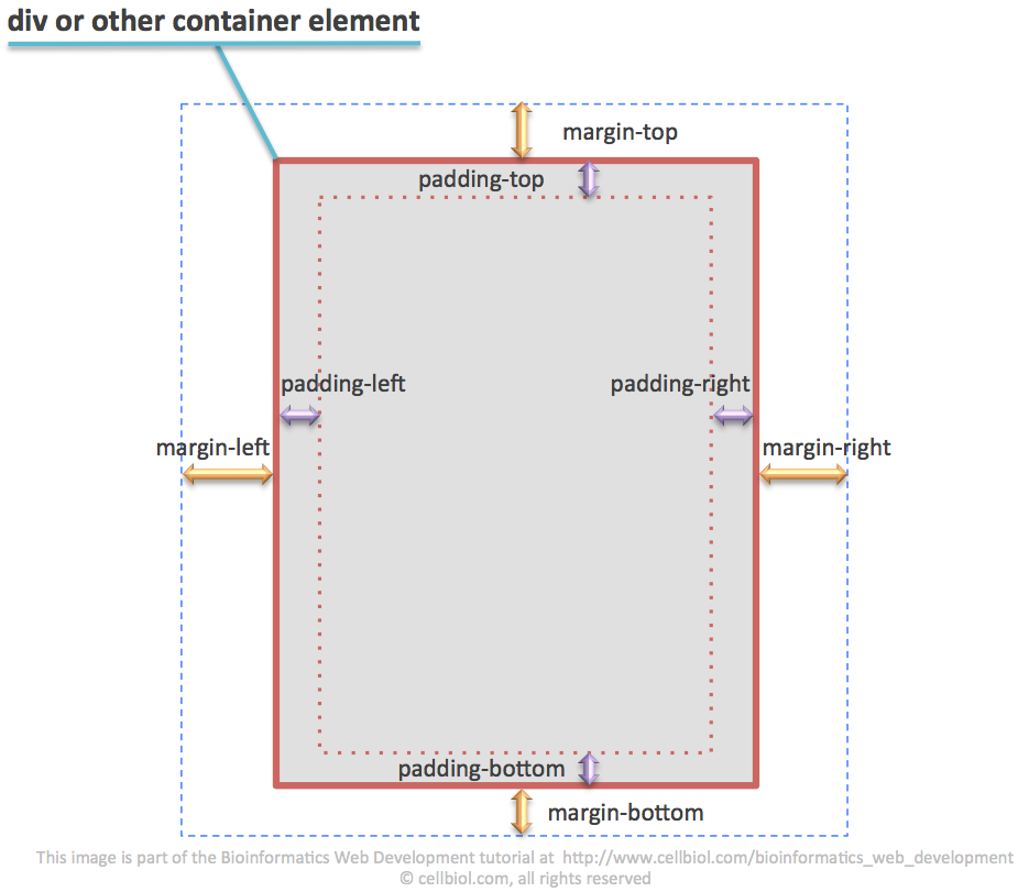 The CSS margin and padding properties