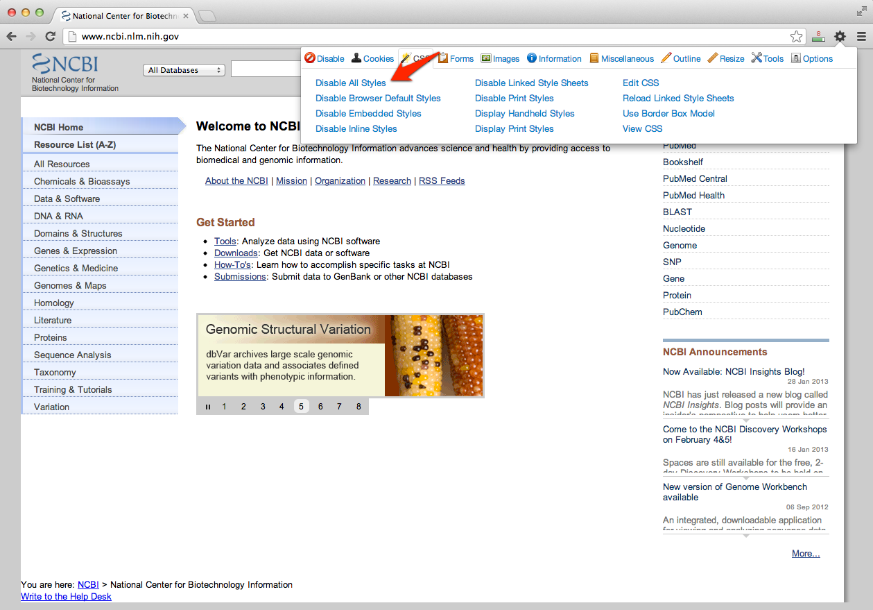 Disabling CSS with the Web Developer Toolbar