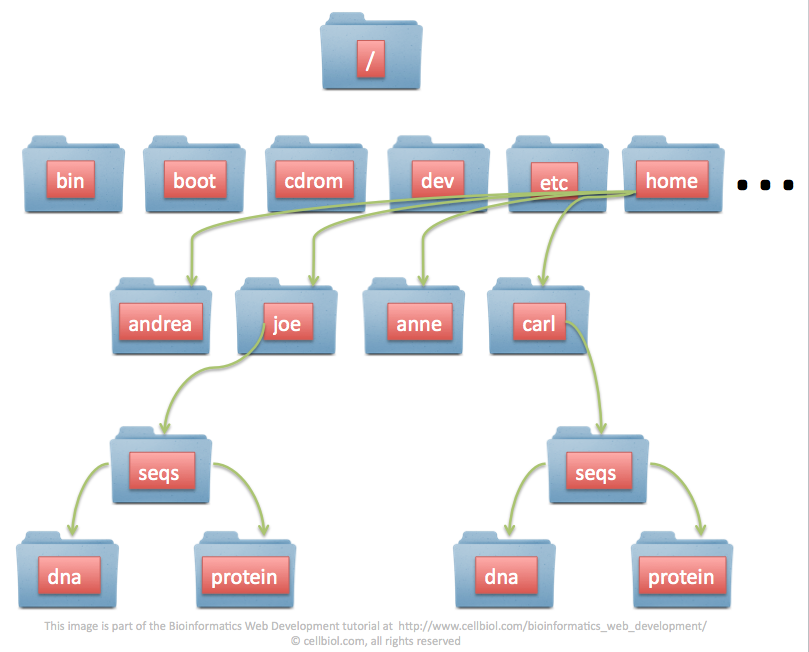 sample linux filesystem