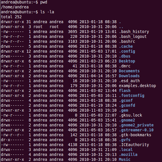 Listing files with ls -la