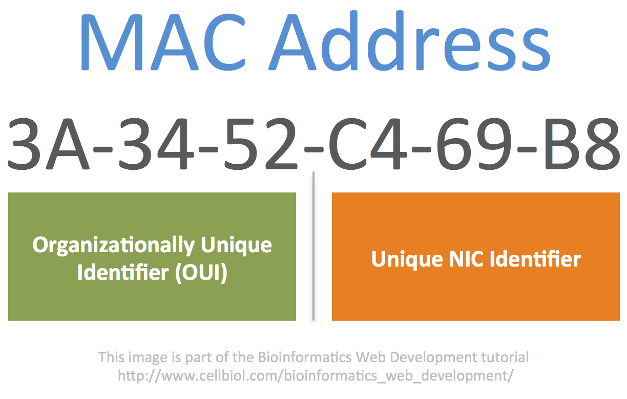 In a MAC address the first 3 octects define the manufacturer (brand) of the network card, (Organizationally Unique Identifier, OUI) while the last 3 octects are a unique identifier for the NIC