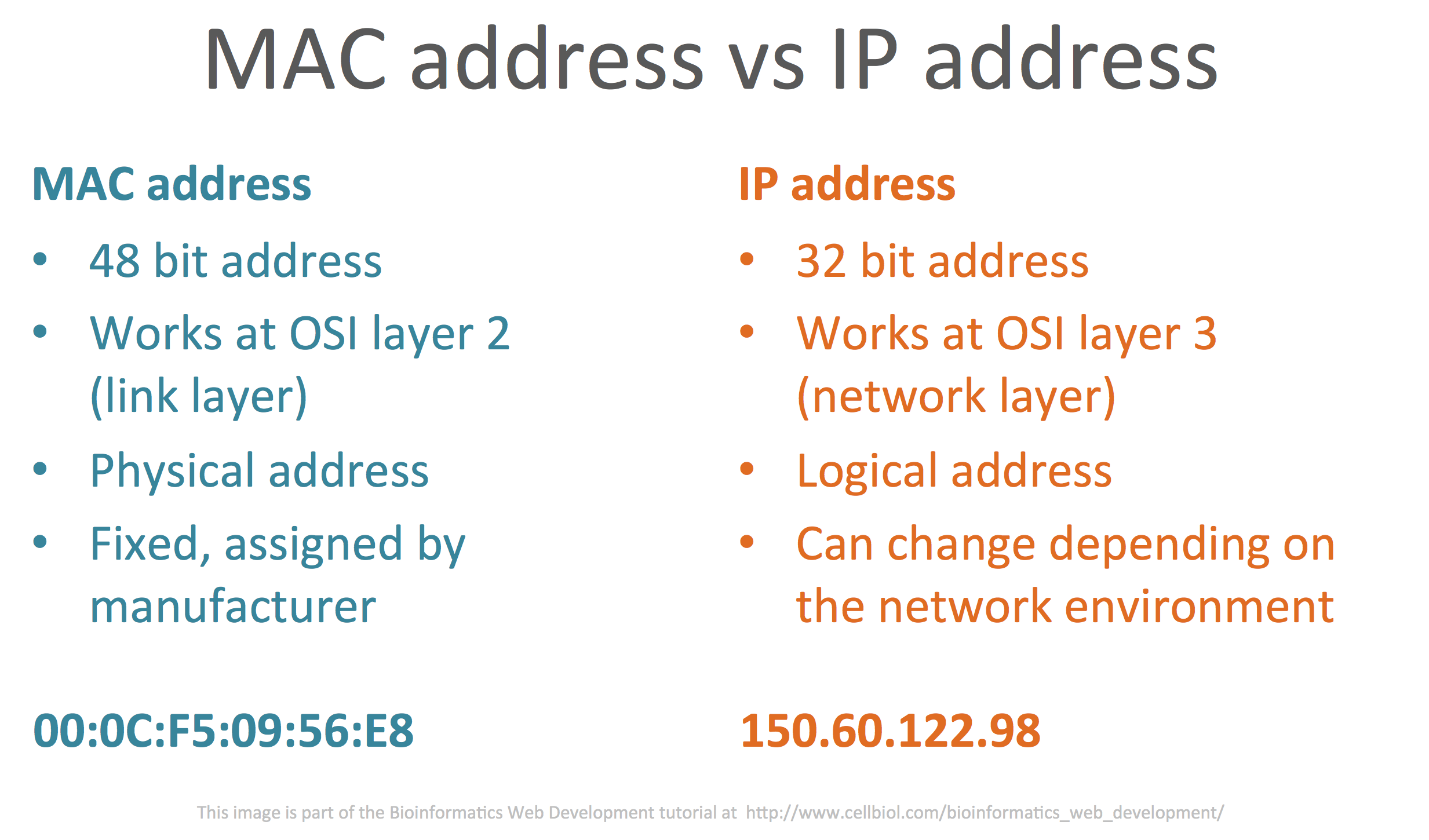 Comparison between MAC addresses and IP addresses