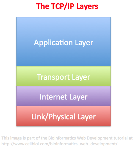 1.6 TCP/IP TCP Server