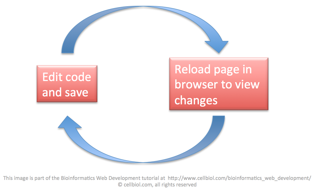 The Web Development Cycle