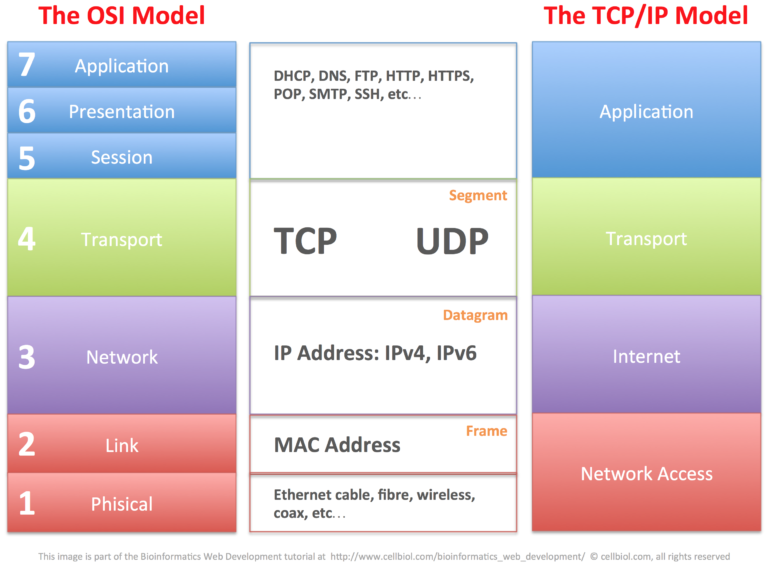 tpc-ip-and-osi-model-cellbiol.com_-768x565.png