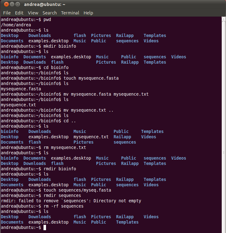 Using Linux shell commands