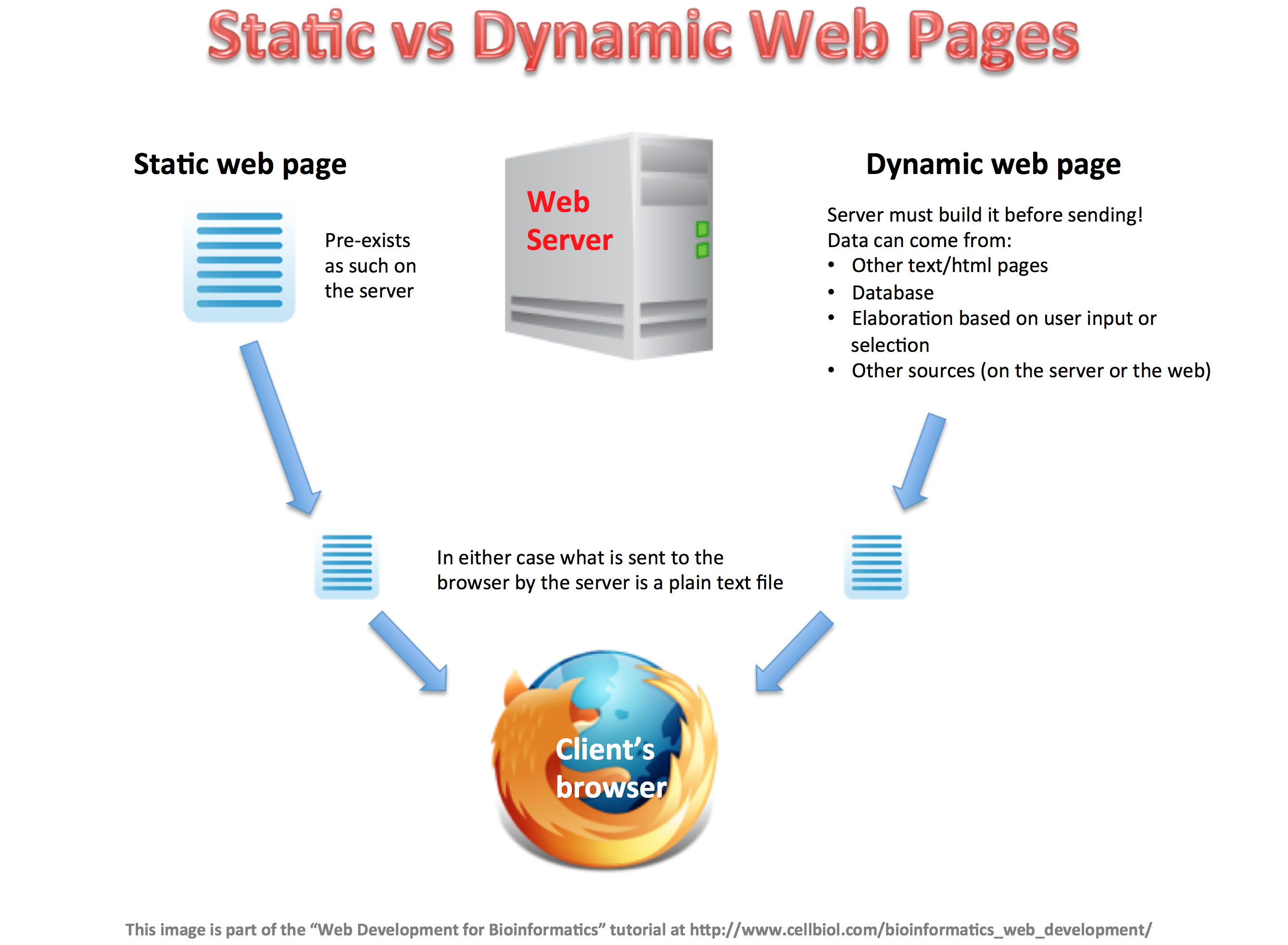 Dynamic Web Application Development