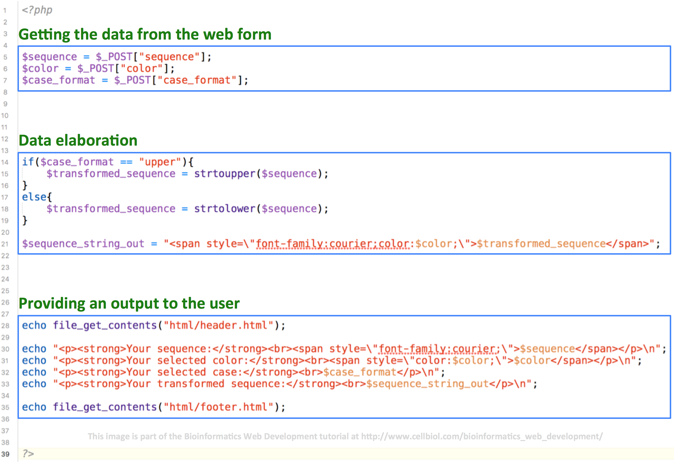 The ideal structure for a form processing script