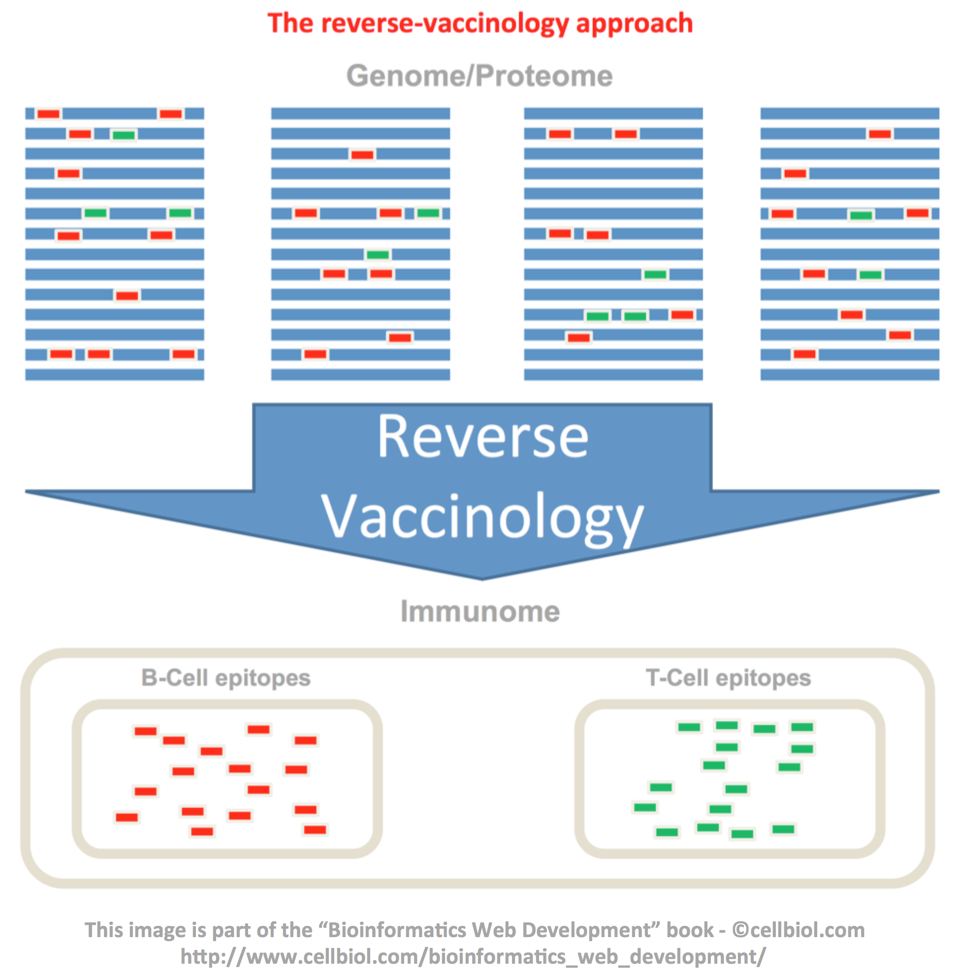 The reverse-vaccinology approach