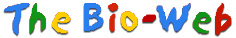 The Bio-Web logo