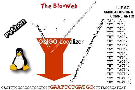 Oligonucleotide Analyser, Oligo Finder